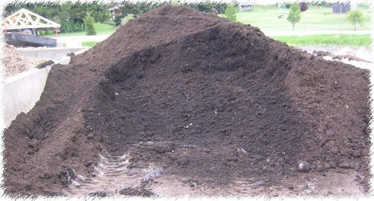A pile of dirt in the middle of a field.